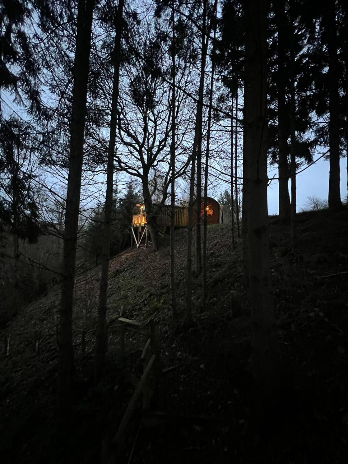 The Pines Treehouse At Treetops Hideouts Richmond  Exterior photo